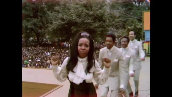 Summer Under the Moon